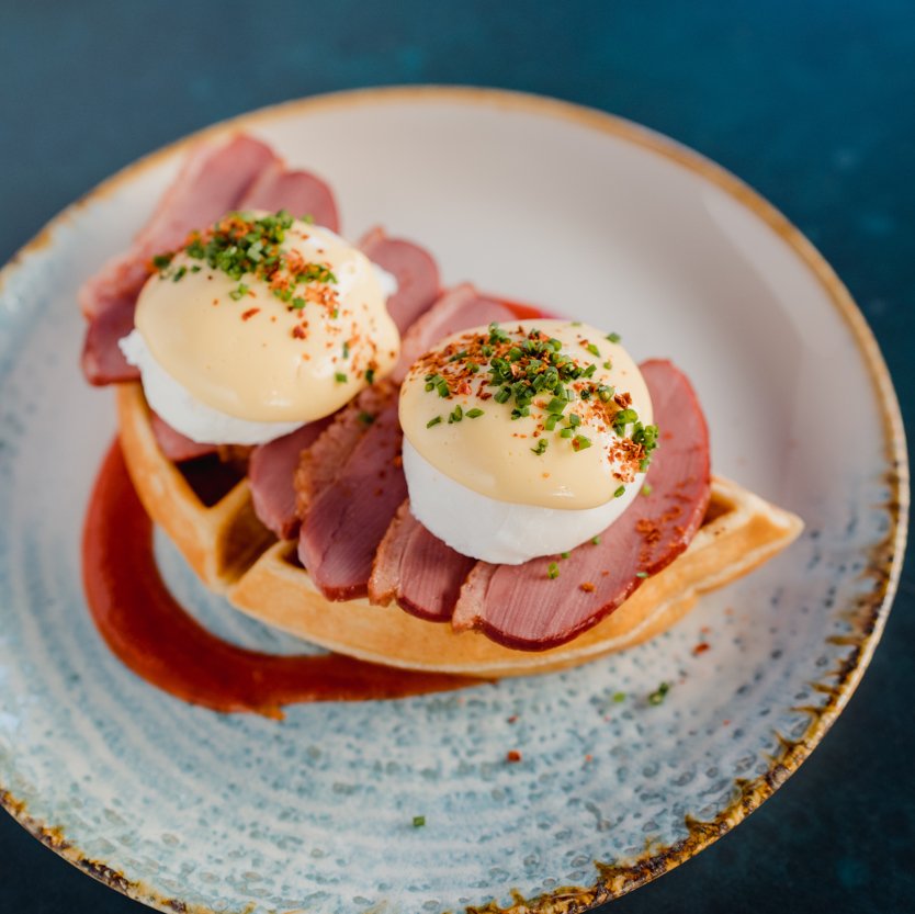 DUCK BENEDICT NEW